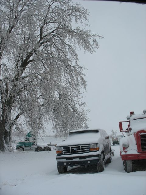 1995 Ford C-350 (Centurion Conversions) - A snow-covered 1995 Ford truck is parked in a snowy lot next to a red truck, with a semi-truck in the background.