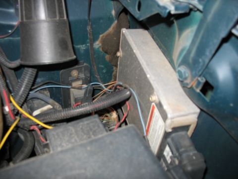 1995 Ford C-350 (Centurion Conversions) - Close-up view of the engine control module and associated wiring within a vehicle's engine bay.