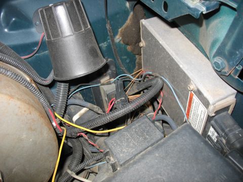 1995 Ford C-350 (Centurion Conversions) - Engine compartment wiring and components, including a horn and an electronic control module.