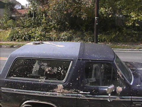 1985 Ford Bronco - Side view of a dirty dark blue Ford Bronco, likely from the early 1980s.