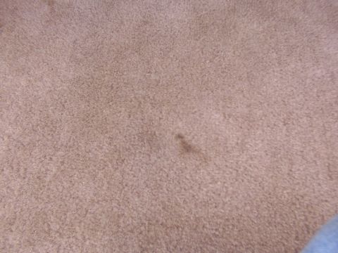 1995 Ford C-350 (Centurion Conversions) - The image shows a close-up view of a tan carpet with a dark stain, with no discernible vehicle features visible.