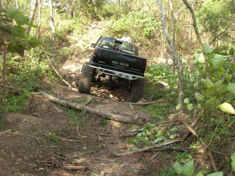 1989 Ford Bronco - Off-road pickup truck driving through a dense forest trail with fallen branches.
