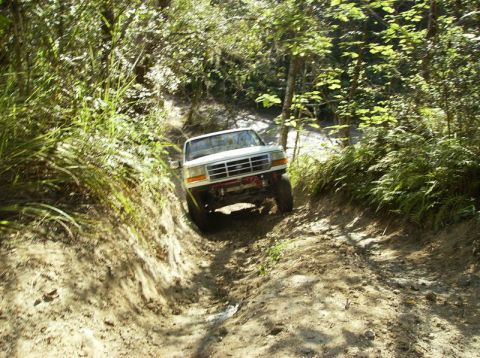 1989 Ford Bronco - A white Ford Bronco navigates a challenging off-road trail surrounded by dense foliage.