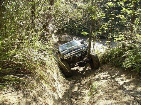 1989 Ford Bronco - A modified off-road vehicle navigates a challenging, overgrown trail.