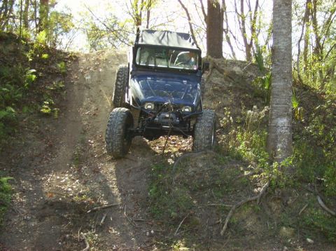 1989 Ford Bronco - A blue Jeep navigates a steep, wooded trail with large off-road tires.