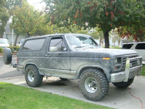 1981 Ford Bronco - This lifted 4x4 Bronco appears to be from the early 1980s, likely a 1980 or 1981 model.