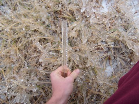 1995 Ford C-350 (Centurion Conversions) - A hand holds an icicle over grass coated in ice, the effects of an ice storm.