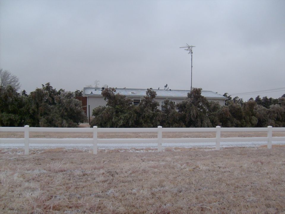 Winter scene with ice-covered trees and a white fence in front of a house
