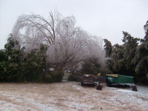 1995 Ford C-350 (Centurion Conversions) - Ice storm aftermath with trees covered in ice and two trailers in the yard.