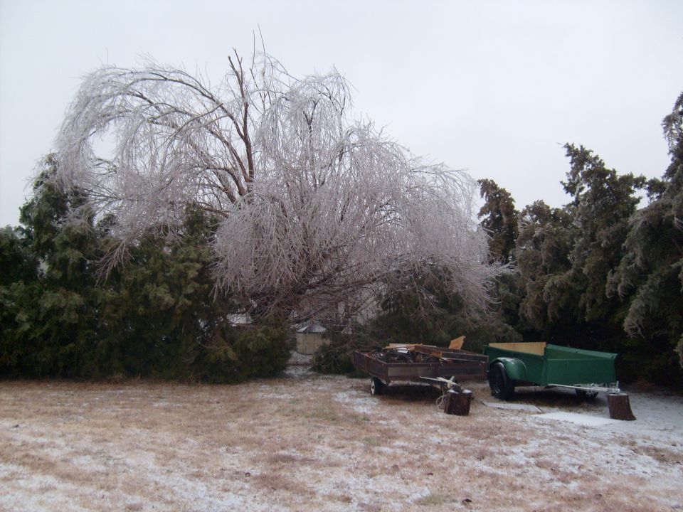 Two trailers sit in a yard with ice-covered trees and snow on the ground