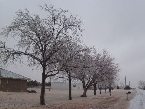 1995 Ford C-350 (Centurion Conversions) - A rural landscape is covered in ice after a storm, with trees, a house, and a road visible.