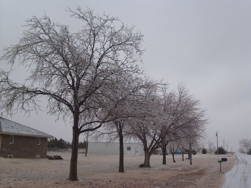 Ice-covered trees line a rural road with a house and buildings in the background
