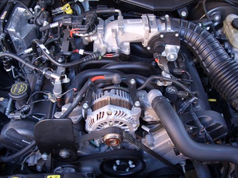 2005 Ford Crown Victoria - Engine bay of a 2005 Ford Crown Victoria showing the V8 engine components.