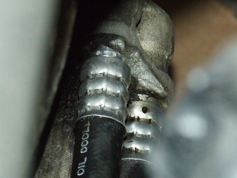 2003 Ford Crown Victoria - Close-up view of oil cooler lines, with partial text reading 'OIL COOL' visible on the hose.