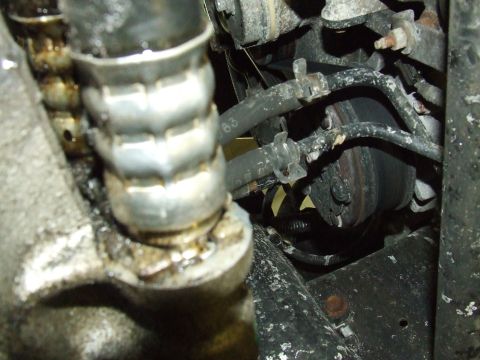 2003 Ford Crown Victoria - Engine oil cooler lines and hoses are visible in this close-up view.