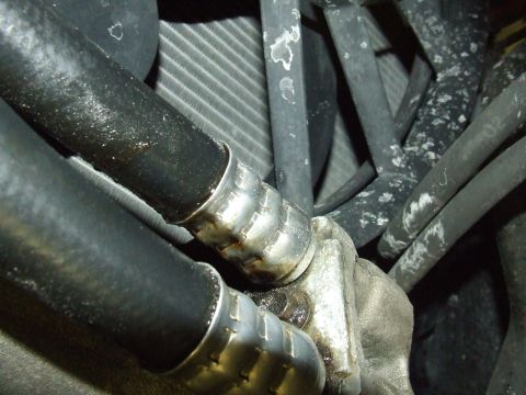 2003 Ford Crown Victoria - Close-up view of oil cooler lines and a radiator, showing connections and hoses.
