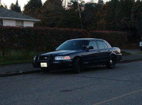2001 Ford Crown Victoria - A black 2001 Ford Crown Victoria is parked curbside on a street with a house and trees in the background.
