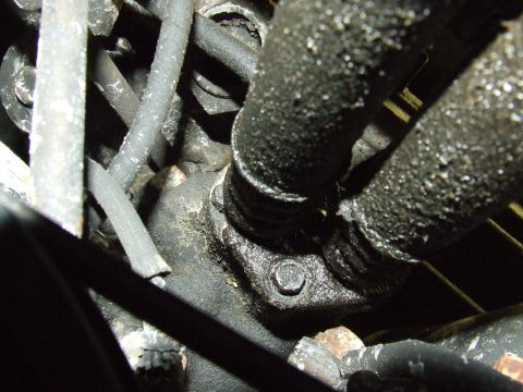 2003 Ford Crown Victoria - Close-up view of engine oil cooler lines, showing signs of leakage and accumulated dirt.