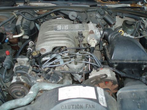 1991 Ford LTD Crown Victoria - Overhead view of a Ford 5.0 liter EFI V8 engine bay, showing the aluminum intake manifold marked "5.0 LITER EFI," spark plug wires, black a…