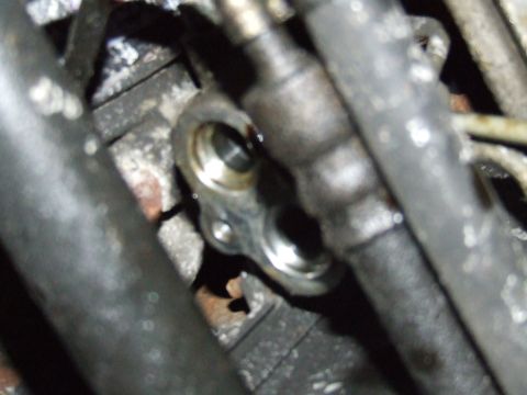 2003 Ford Crown Victoria - Engine oil cooler fitting with hoses, likely from a vehicle's engine bay.