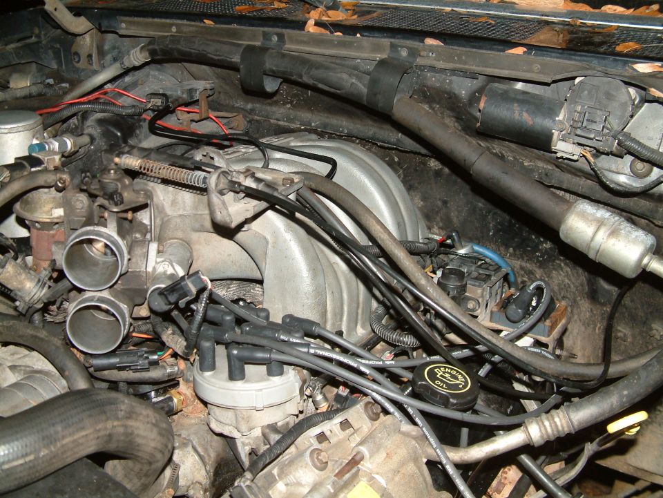 V8 engine bay showing intake manifold and spark plug wires