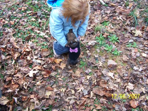 1979 Ford F-150 - A child kneels in fallen leaves, playing with a puppy dressed in a sweater with a pink bow detail.