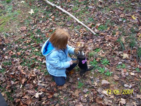 1979 Ford F-150 - A child plays with a puppy in a wooded area on a fall day.