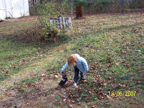 1979 Ford F-150 - A young girl interacts with her dog in a grassy yard scattered with autumn leaves.