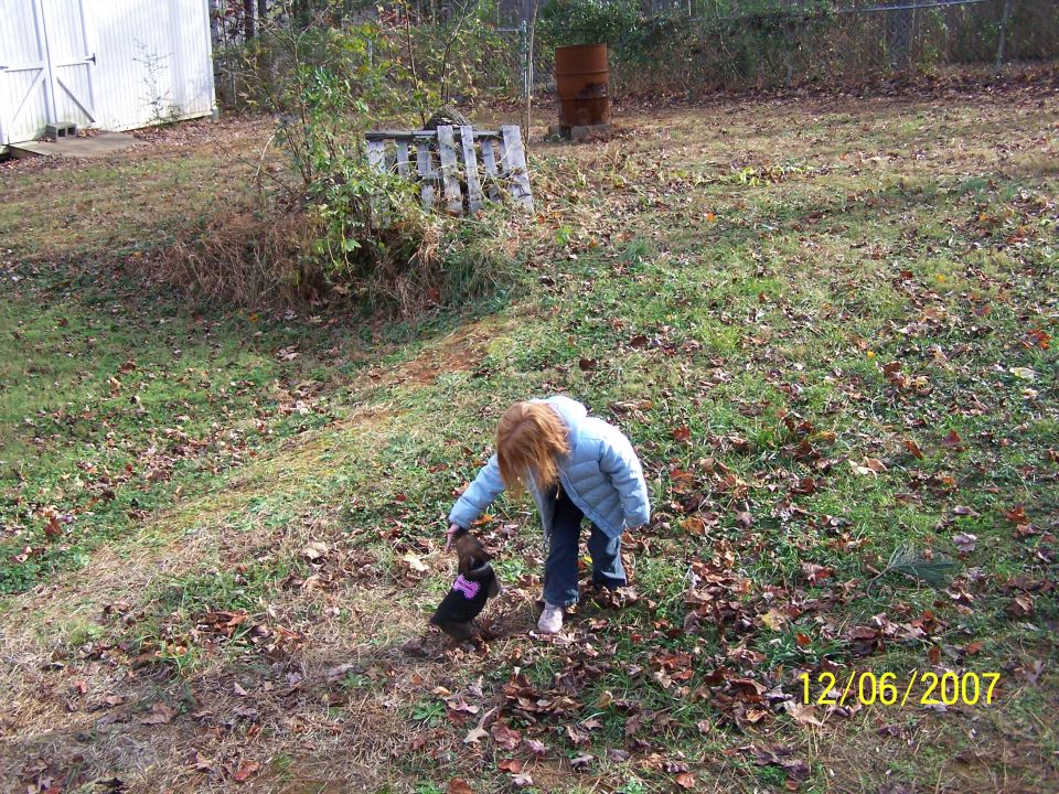 Girl in a blue coat petting a small dog in a yard with fallen leaves