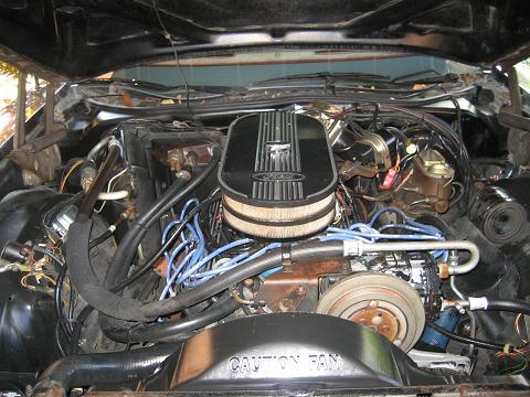 1979 Ford Ranchero - Close-up view of a vehicle's engine bay, showing various components and wiring.