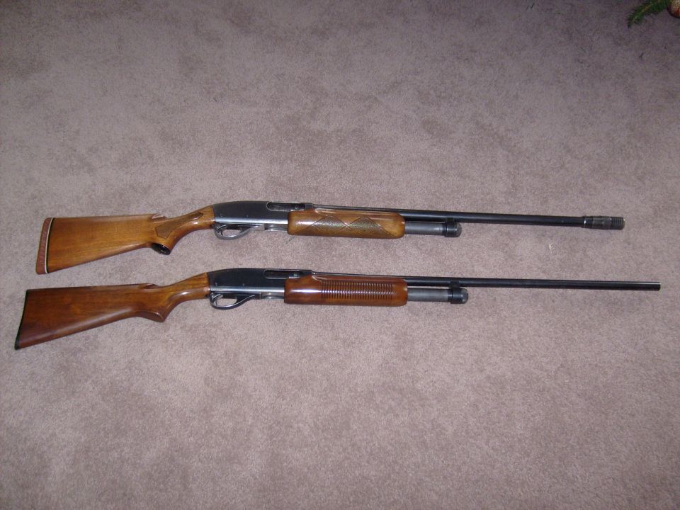 Two wood-stocked pump-action shotguns on tan carpet