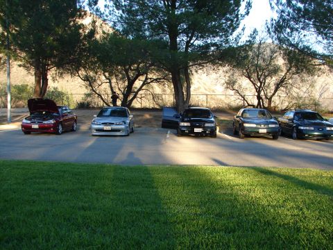 1993 Ford Taurus - Five sedans are parked in a lot with trees and a hill in the background.