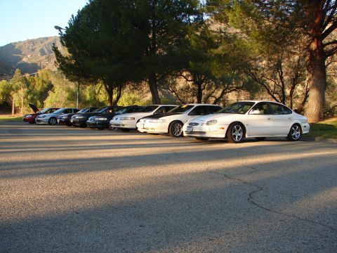 1993 Ford Taurus - A row of cars, including a white 1996 Ford Taurus, parked outdoors during the day.