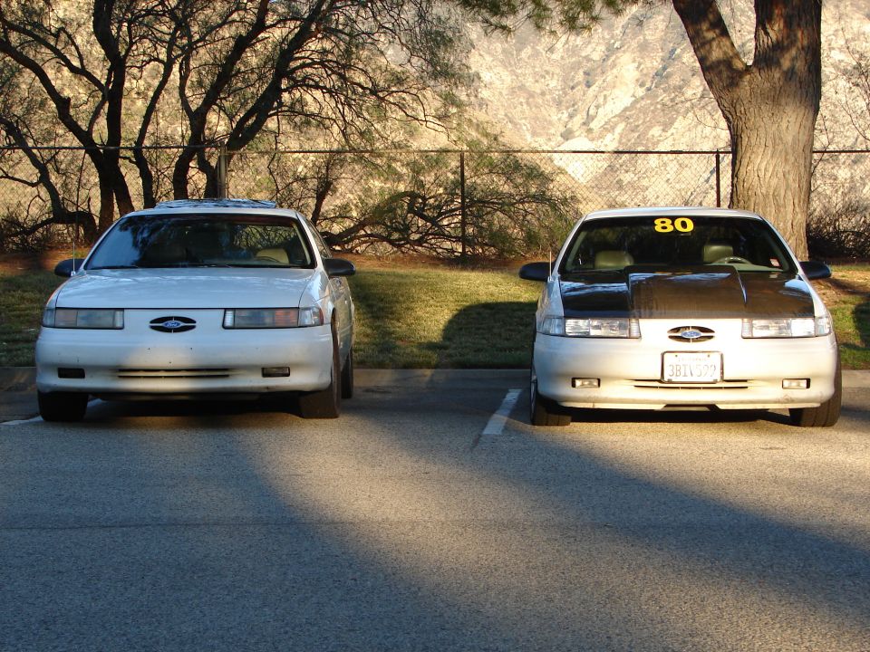Two white Ford Taurus sedans parked in a lot. One has a black hood and a yellow '80' sticker on the windshield