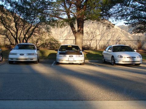 1993 Ford Taurus - Three white sedans are parked in a lot, with a mountainous backdrop. One sedan has a black hood and the number '80' displayed on its windsh…
