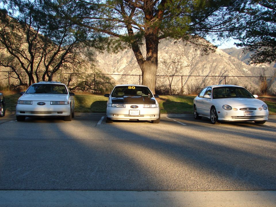 Three white sedans parked in a lot, one with a black hood and '80' on windshield