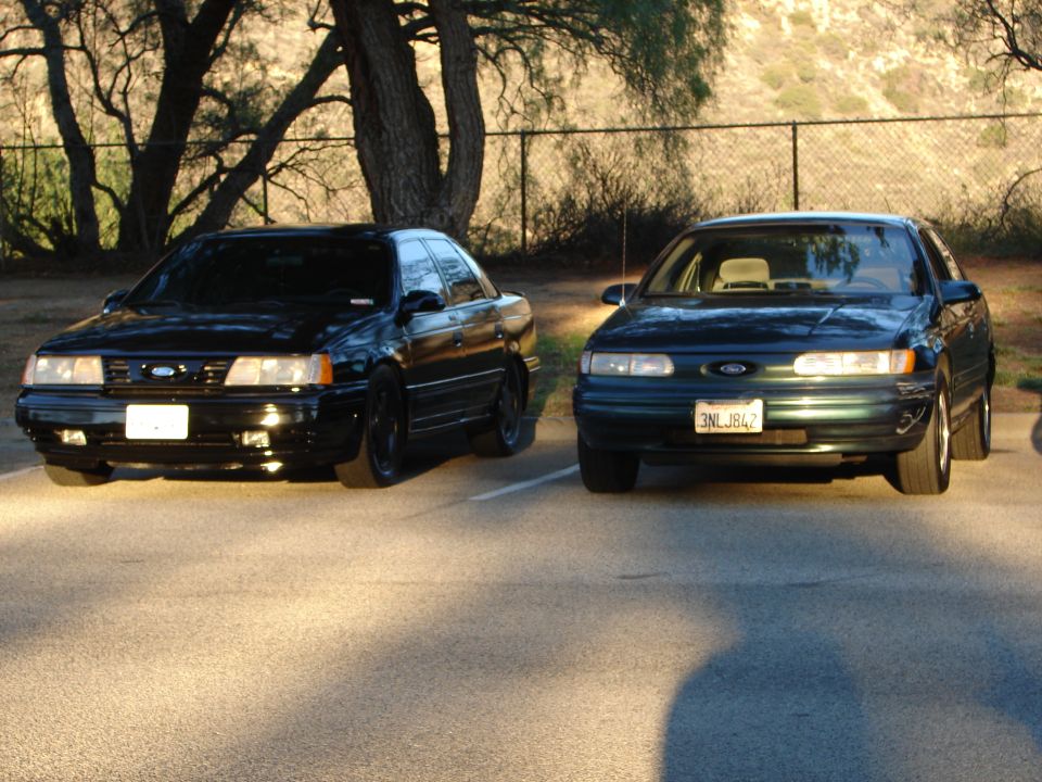 Two Ford Taurus sedans parked side-by-side. The one on the left is black, the one on the right is dark green with license plate 3NLJ842