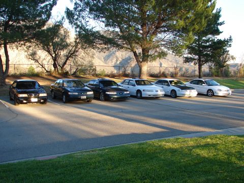 1993 Ford Taurus - Multiple sedans are parked in a lot with trees and hills in the background.