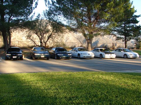 1993 Ford Taurus - A line of six Ford Taurus sedans from 1993 are parked in a lot with trees and a hillside in the background.