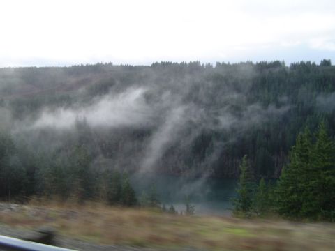 1989 Ford Bronco - Foggy on the way up to find a tree