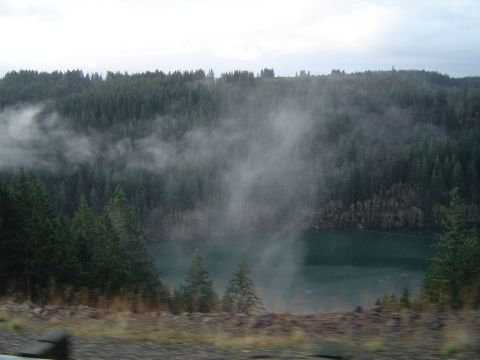 1989 Ford Bronco - A misty lake is visible through a dense evergreen forest on a cloudy day.