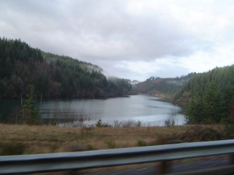 1989 Ford Bronco - A lake scene with dense evergreen forests blanketing the rolling hills under an overcast sky.