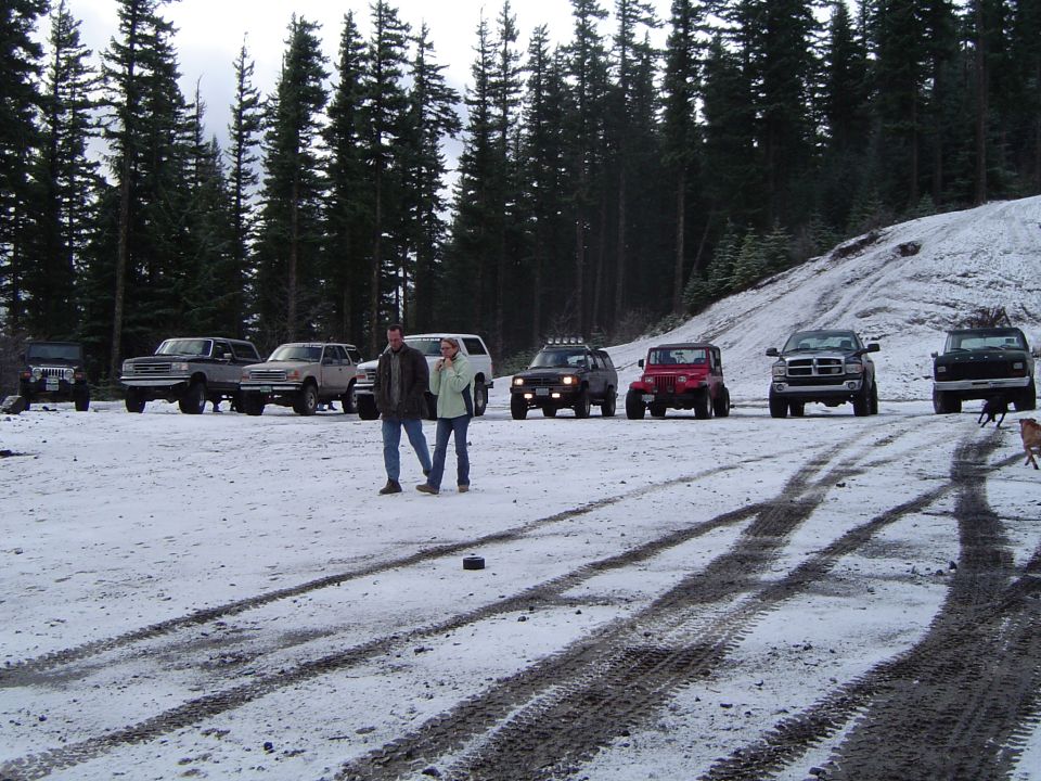 Group of lifted trucks and Jeeps parked on snow among evergreen trees