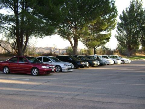 1991 Ford Taurus - A line of sedans are parked in a lot, with trees and hills visible behind them.