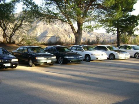 1991 Ford Taurus - Several 1991 Ford Taurus sedans are parked in a row under trees with mountains in the background.