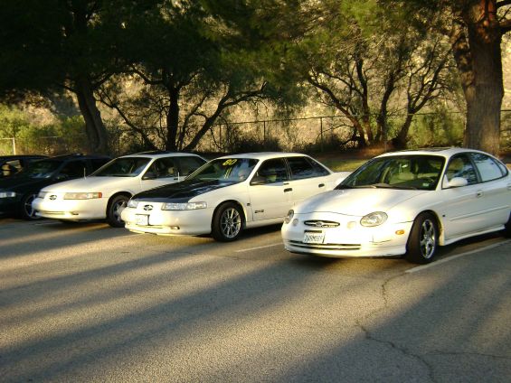 Three white Ford Taurus sedans parked in a lot, one with a black hood. The closest car has a license plate