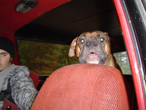 1989 Ford Bronco - Telling me he is cold.