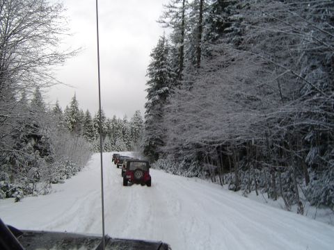 1989 Ford Bronco - Found some snow