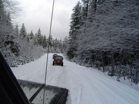 1989 Ford Bronco - A convoy of Jeeps navigates a snowy forest road during a winter excursion.