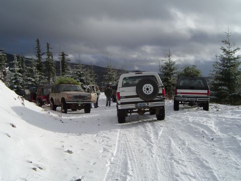 1989 Ford Bronco - Several vehicles, including a white 1989 Ford Bronco, are parked in a snowy area, possibly after a Christmas tree run.
